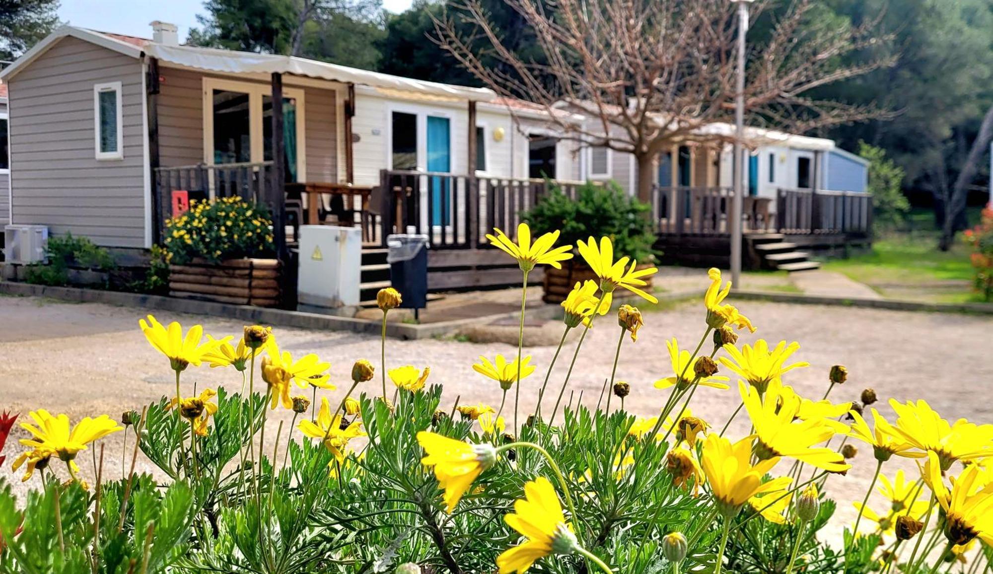 Camping Aux Portes De Cassis Roquefort-la-Bédoule Exterior foto
